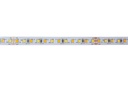 Yuji - BC Séries Ruban à LED bi-couleur 2700-6500K - 24V
